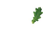 SOLD! - 5726 Herald Square - Listed by Halle Whitlock | Oak Grove Realty