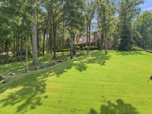 8950 On-The-Hill Cv E. - Listed by Abbey Miesse and Izabella Moore
